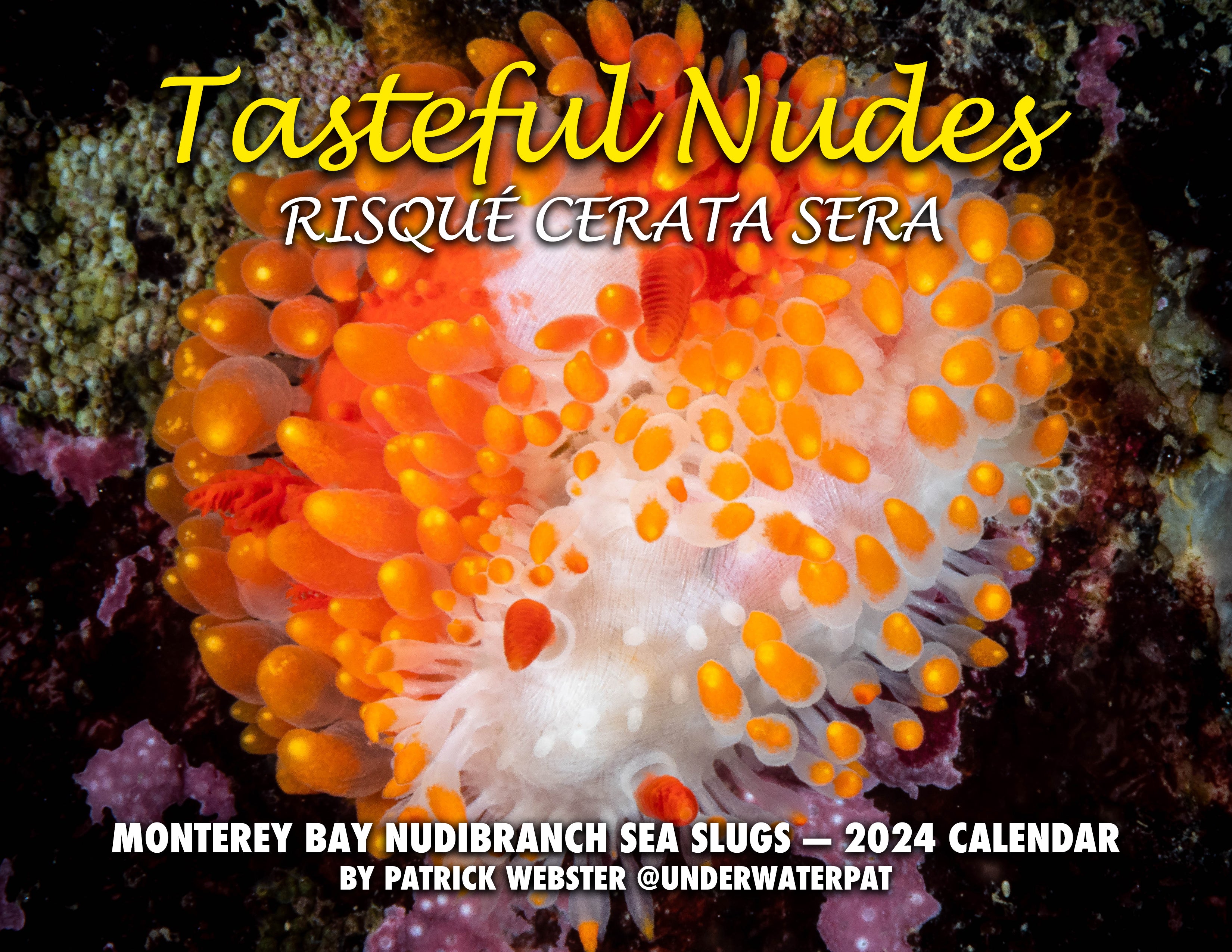 Tasteful Nudes 2024 Nudibranch Calendar Prints Underwaterpat X   TASTEFUL NUDES 2024 COVER 