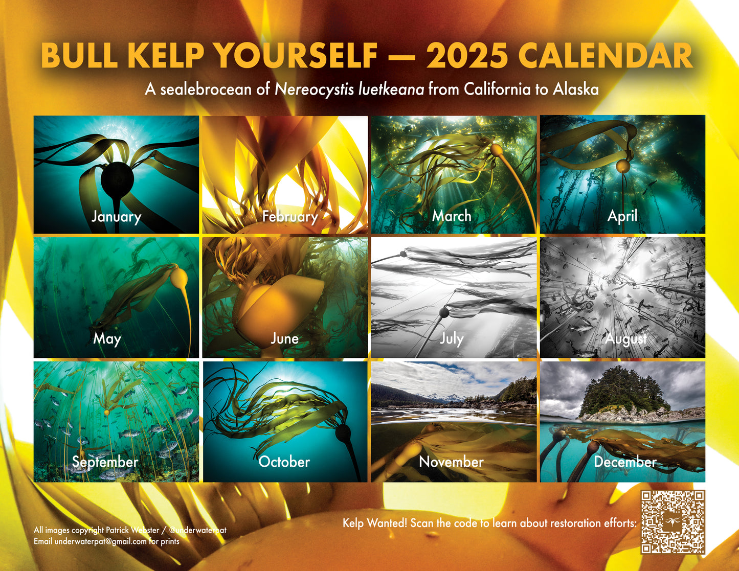 BULL KELP YOURSELF — Special Edition 2025 Calendar