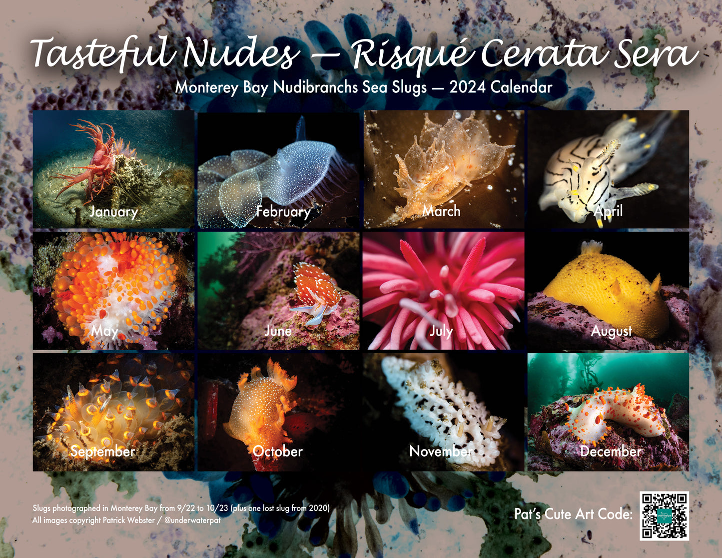 2024 "Tasteful Nudes" Nudibranch Sea Slug Calendar