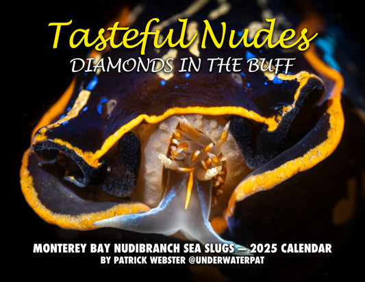 2025 Nudibranch Sea Slug Calendar: "Tasteful Nudes — Diamonds in the Buff"