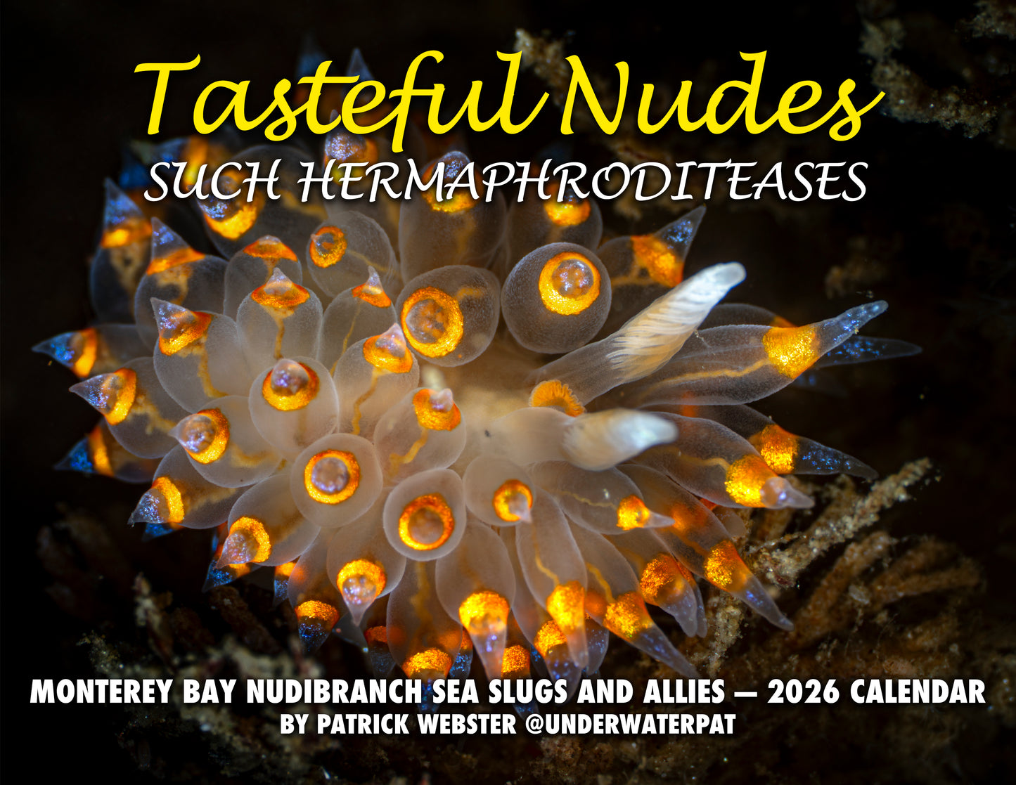 2026 Nudibranch Sea Slug Calendar: Tasteful Nudes — Such Hermaphroditeases